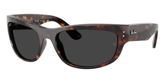 Ray-Ban Mega Balorama RB 2289 902/48 Polarised