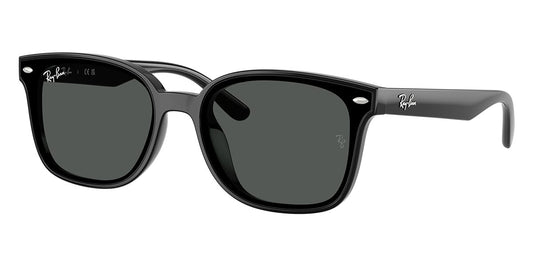 Ray-Ban RB 4461D 601/87